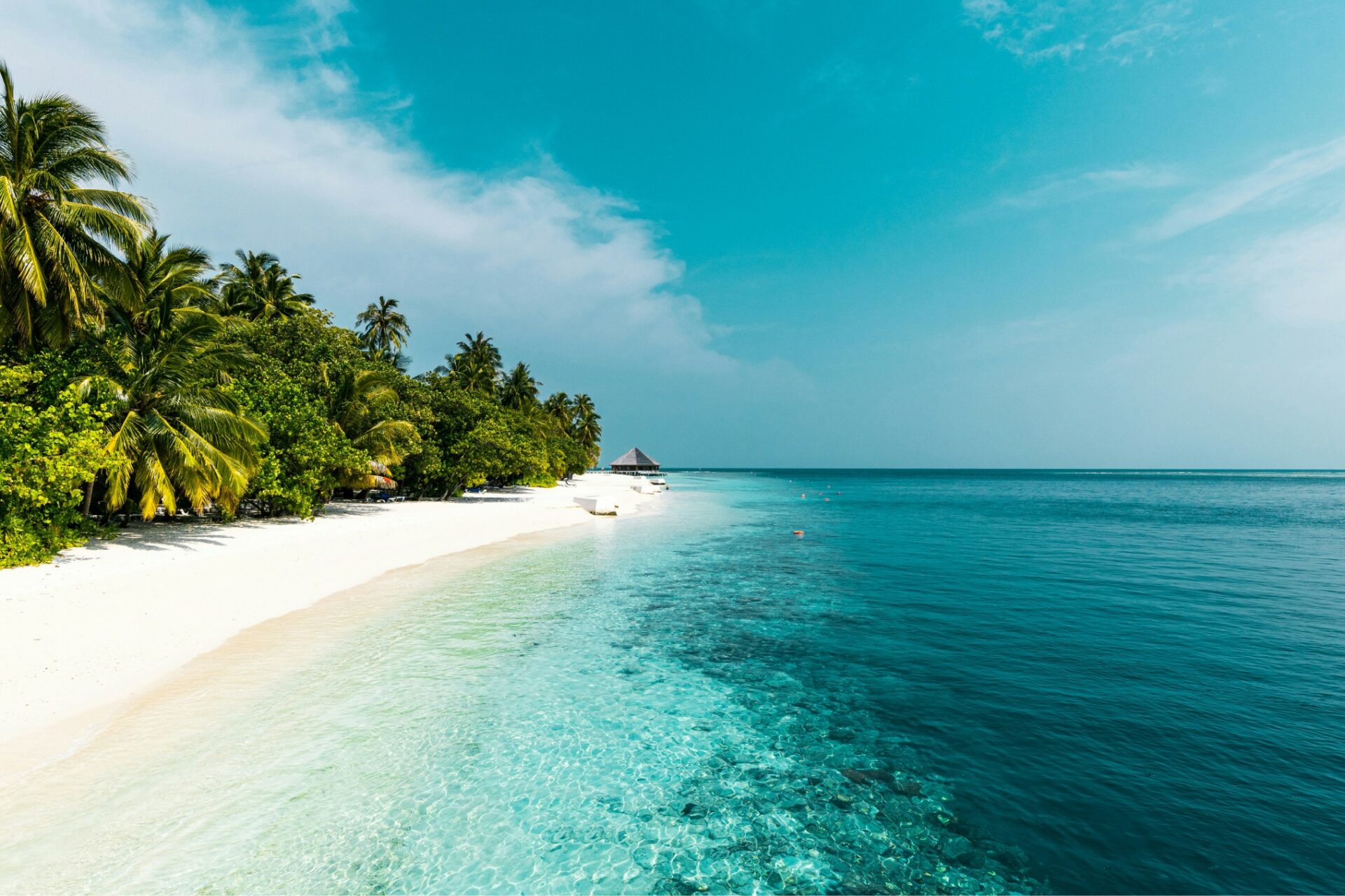 Rectangle 78 | Maledivy
