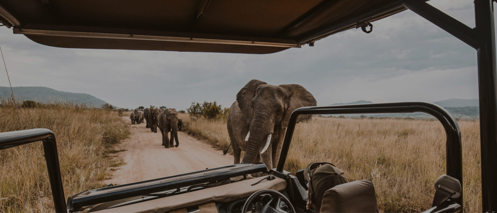 Safari | Safari v Africe